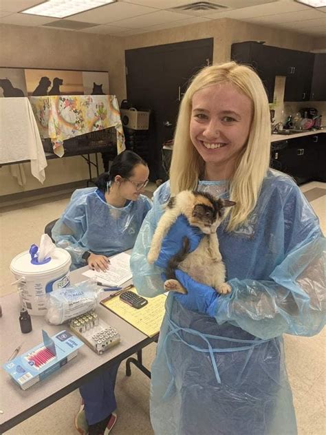 NINNESCAH VETERINARY SERVICE .